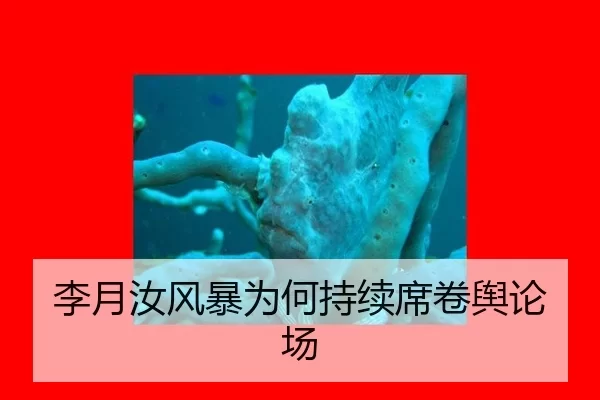 李月汝风暴为何持续席卷舆论场